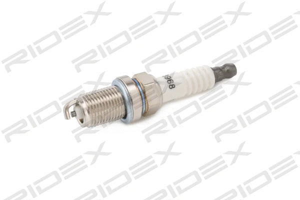 Spark Plug