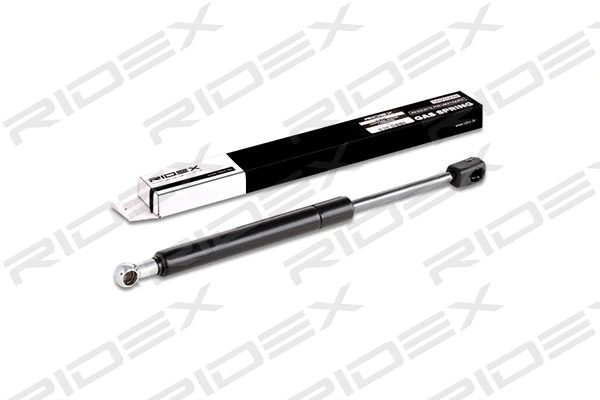 Gas Spring, boot/cargo area (219G0080)
