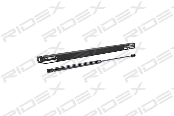 Gas Spring, boot/cargo area (219G0027)