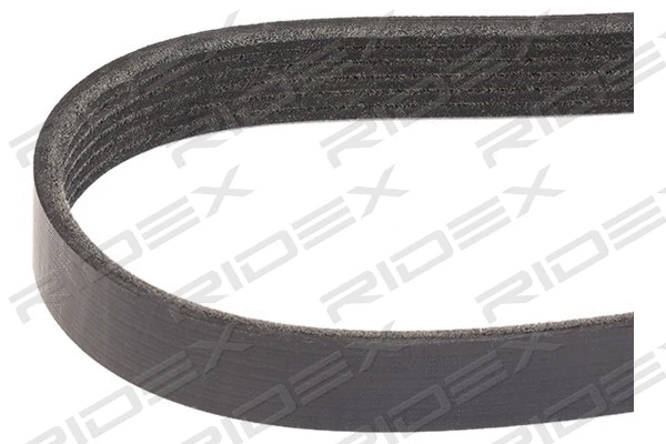 V-Ribbed Belt (305P0162)