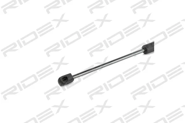 Gas Spring, boot/cargo area (219G0844)