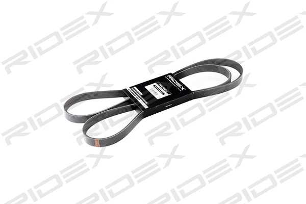 V-Ribbed Belt (305P0150)