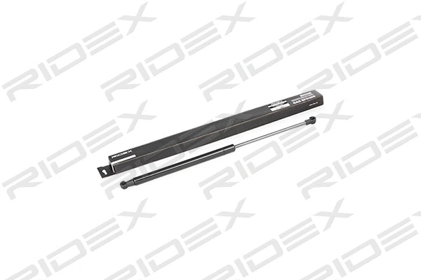 Gas Spring, boot/cargo area (219G0214)