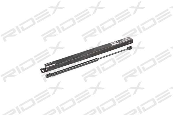 Gas Spring, boot/cargo area (219G0165)