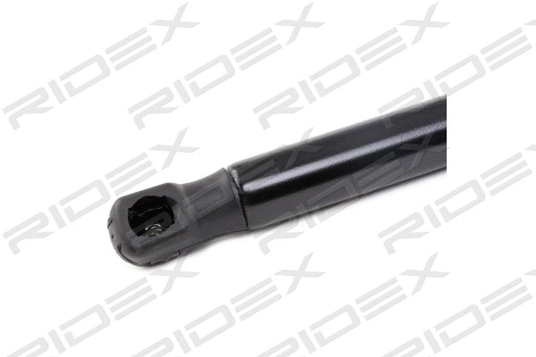 Gas Spring, boot/cargo area (219G0678)