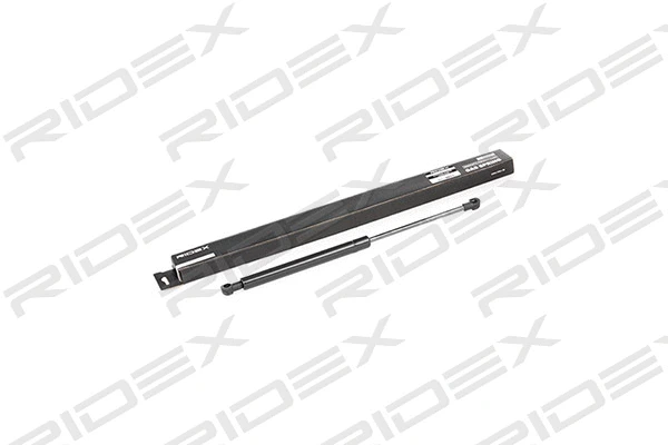 Gas Spring, boot/cargo area (219G0267)
