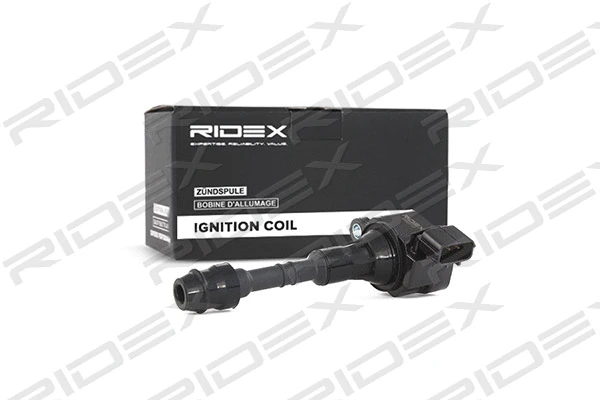 Ignition Coil (689C0113)