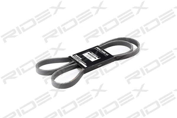 V-Ribbed Belt (305P0185)
