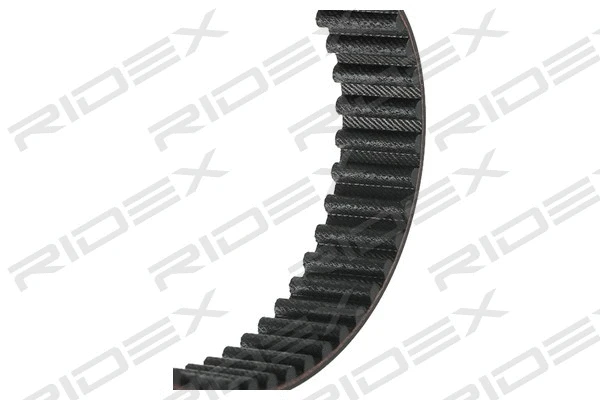 Timing Belt