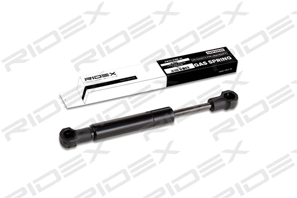 Gas Spring, boot/cargo area (219G0375)