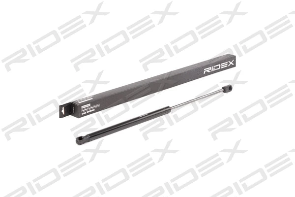Gas Spring, boot/cargo area (219G0864)