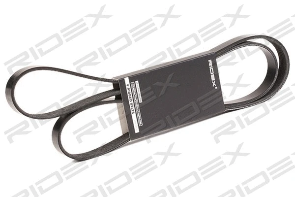V-Ribbed Belt (305P0123)