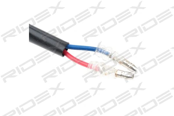 Window Regulator (1561W0166)