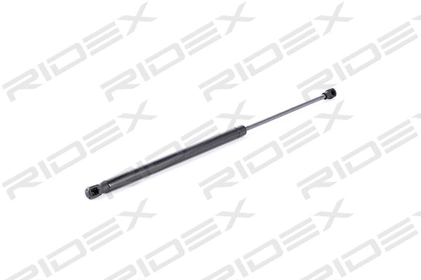 Gas Spring, boot/cargo area (219G0391)