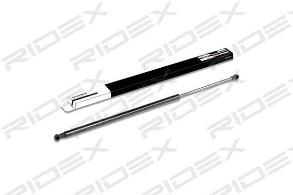 Gas Spring, boot/cargo area (219G0155)