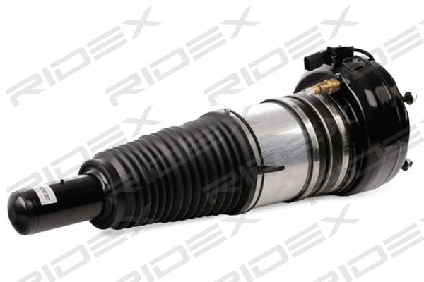 Air Suspension Strut (4118A0066)