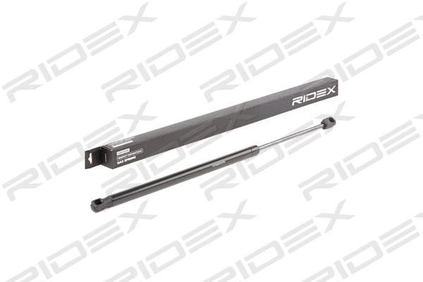 Gas Spring, boot/cargo area (219G0733)