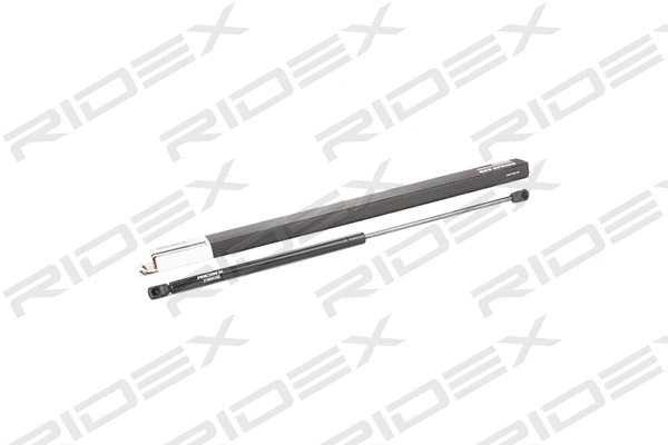 Gas Spring, boot/cargo area (219G0352)