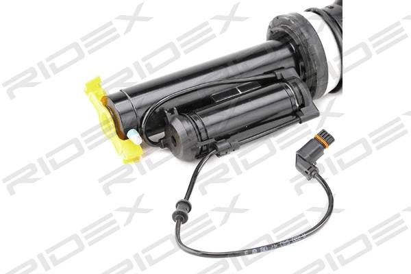 Air Suspension Strut (4118A0004)