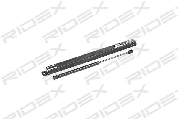 Gas Spring, boot/cargo area (219G0086)