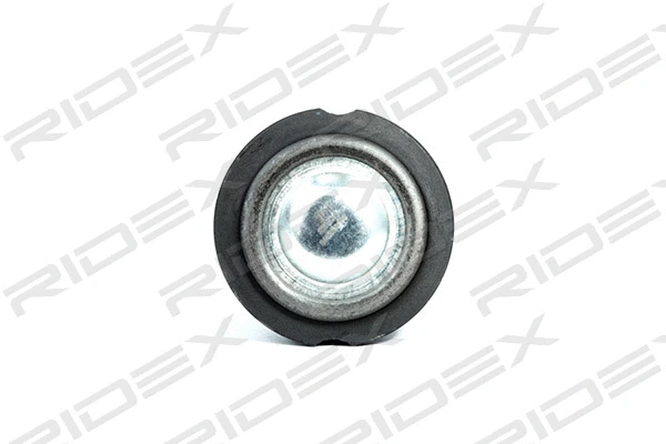 Ball Joint (2462S0103)
