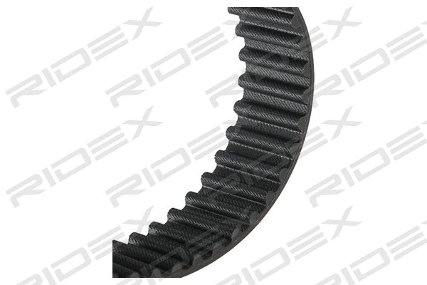 Timing Belt (306T0156)