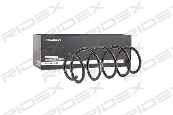Suspension Spring (188C0048)