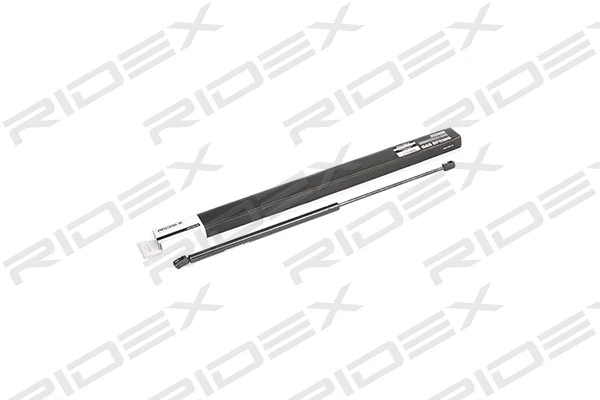 Gas Spring, boot/cargo area (219G0130)