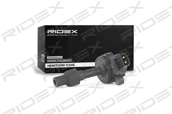 Ignition Coil (689C0150)