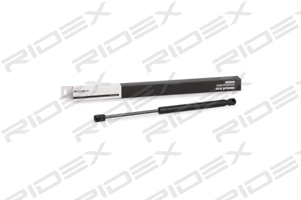 Gas Spring, boot/cargo area