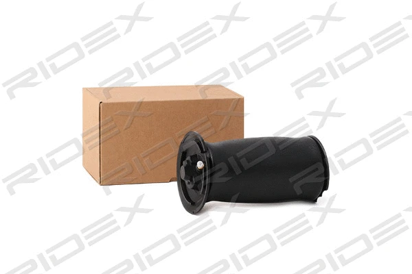 Air Spring, suspension (4119A0028)