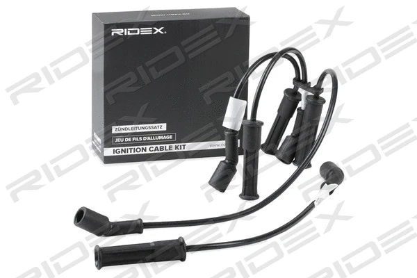 Ignition Cable Kit (685I0085)