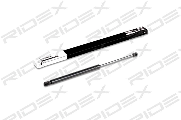 Gas Spring, boot/cargo area (219G0184)