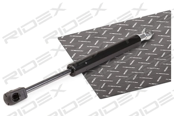 Gas Spring, boot/cargo area