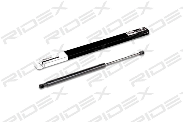 Gas Spring, boot/cargo area (219G0370)