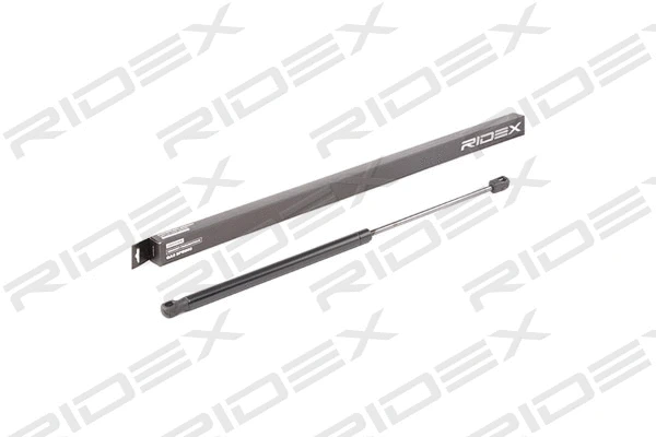 Gas Spring, boot/cargo area