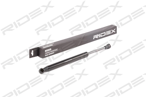 Gas Spring, boot/cargo area