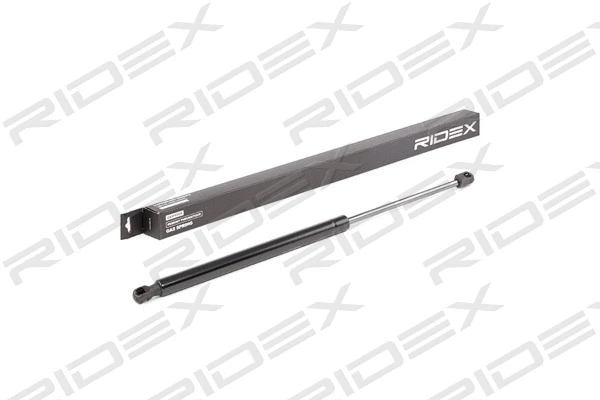 Gas Spring, boot/cargo area (219G0860)