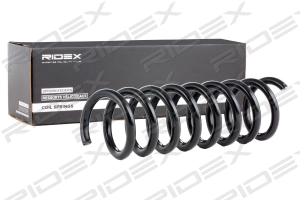 Suspension Spring (188C0207)