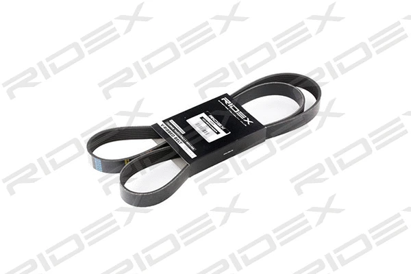 V-Ribbed Belt (305P0241)