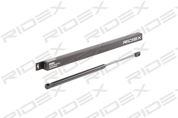 Gas Spring, boot/cargo area (219G0547)