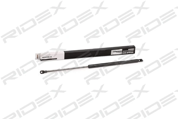 Gas Spring, boot/cargo area