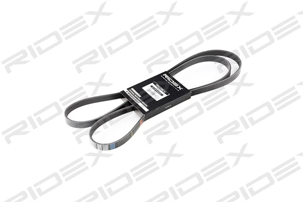 V-Ribbed Belt (305P0149)