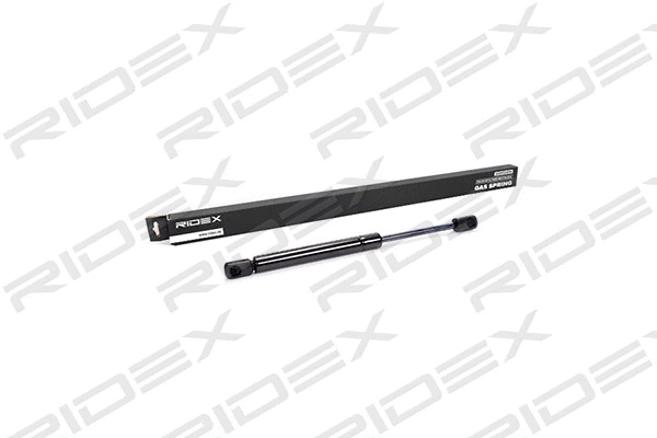 Gas Spring, boot/cargo area (219G0061)