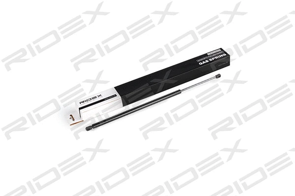Gas Spring, boot/cargo area (219G0340)