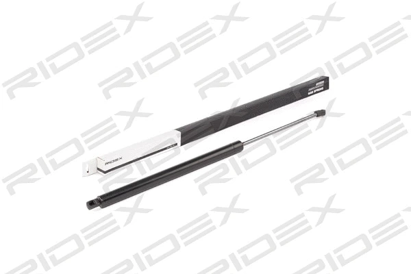 Gas Spring, boot/cargo area (219G0691)
