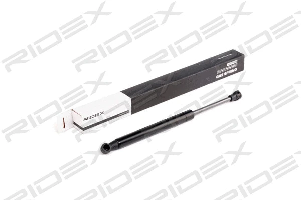 Gas Spring, boot/cargo area (219G0578)