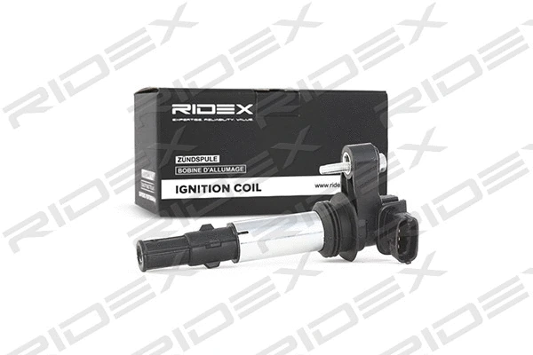Ignition Coil (689C0018)