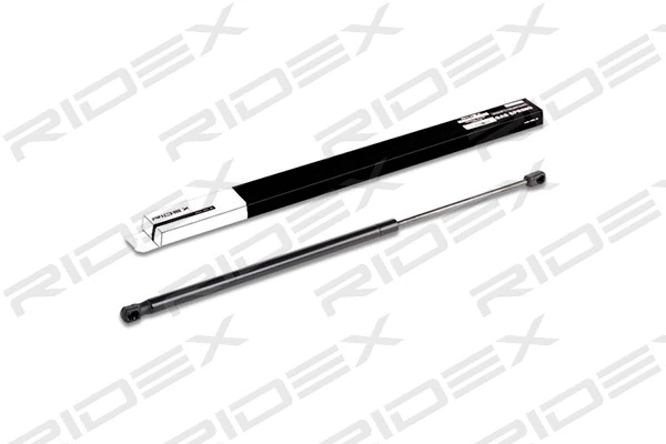 Gas Spring, boot/cargo area (219G0236)