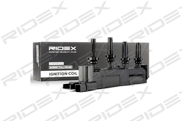 Ignition Coil (689C0037)